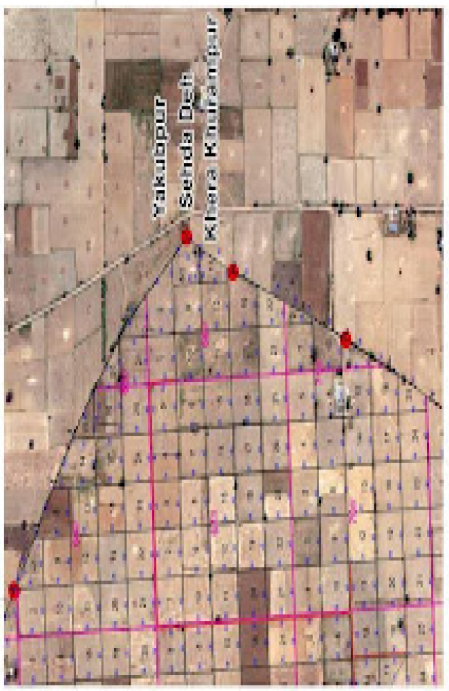 Cadastal Map Real Snapshot 2